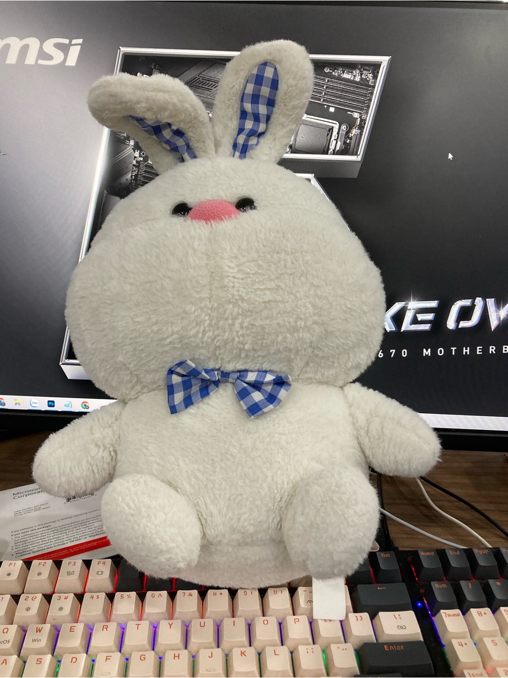 Plush White Bunny with Blue Gingham Bow